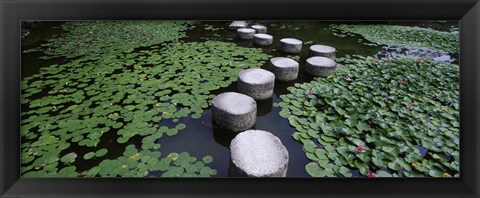 Framed Water Lilies In A Pond, Helan Shrine, Kyoto, Japan Print