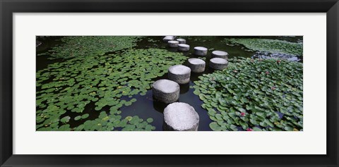 Framed Water Lilies In A Pond, Helan Shrine, Kyoto, Japan Print