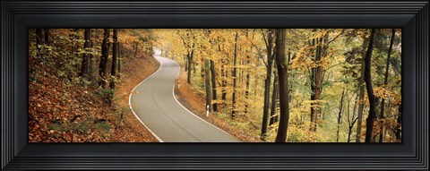 Framed Autumn trees along a road, Germany Print