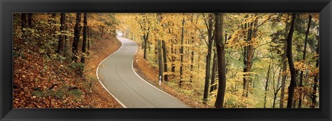 Framed Autumn trees along a road, Germany Print