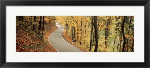 Framed Autumn trees along a road, Germany Print