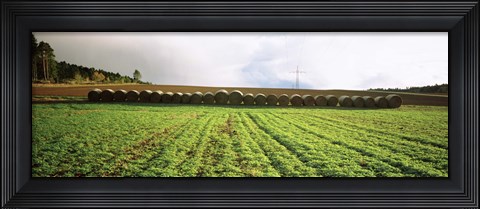 Framed Hay bales in a farm land, Germany Print