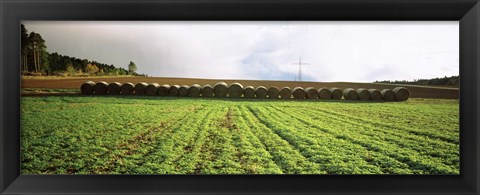 Framed Hay bales in a farm land, Germany Print