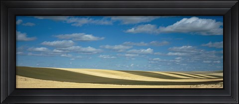Framed Clouded sky over a striped field, Geraldine, Montana, USA Print