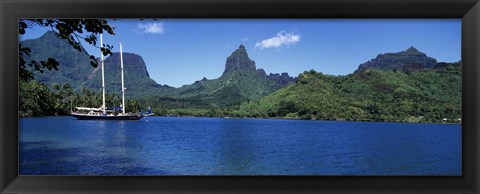 Framed Sailboats Sailing In The Ocean, Opunohu Bay, Moorea, French Polynesia Print