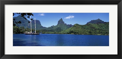 Framed Sailboats Sailing In The Ocean, Opunohu Bay, Moorea, French Polynesia Print