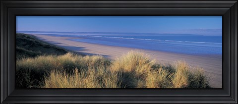 Framed Tall grass on the coastline, Saunton, North Devon, England Print