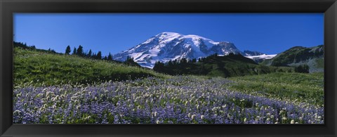 Framed Wildflowers On A Landscape, Mt Rainier National Park, Washington State, USA Print