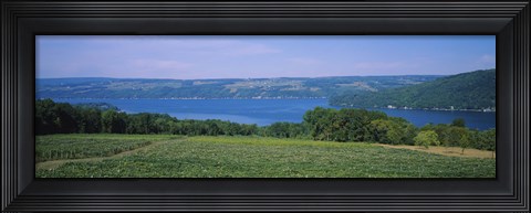 Framed High angle view of a vineyard near a lake, Keuka Lake, Finger Lakes, New York State, USA Print