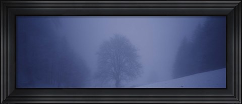 Framed Trees on a snow covered landscape, Schauinsland, Germany Print