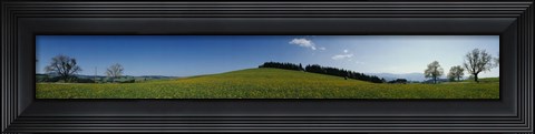 Framed Panoramic view of a landscape, St. Peter, Lindenberg, Black Forest, Germany Print