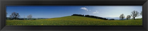 Framed Panoramic view of a landscape, St. Peter, Lindenberg, Black Forest, Germany Print