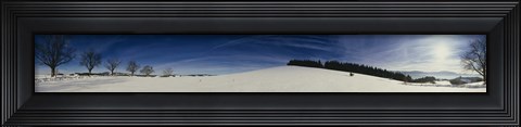 Framed Trees on a snow covered landscape, St. Peter, Lindenberg, Black Forest, Germany Print