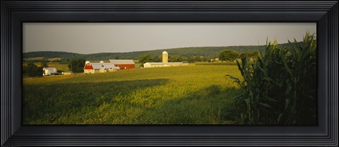 Framed Crop in a field, Frederick County, Virginia, USA Print