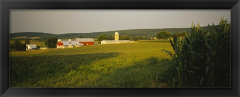 Framed Crop in a field, Frederick County, Virginia, USA Print