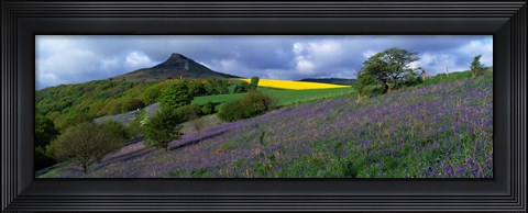 Framed Bluebell Flowers In A Field, Cleveland, North Yorkshire, England, United Kingdom Print