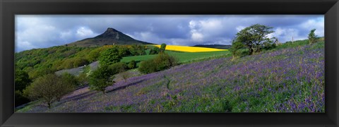 Framed Bluebell Flowers In A Field, Cleveland, North Yorkshire, England, United Kingdom Print