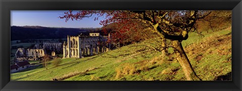 Framed Church On A Landscape, Rievaulx Abbey, North Yorkshire, England, United Kingdom Print