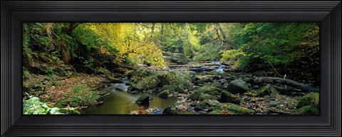 Framed Stream Flowing Through Forest, Eller Beck, England, United Kingdom Print