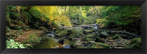 Framed Stream Flowing Through Forest, Eller Beck, England, United Kingdom Print