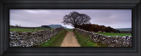 Framed Stone Walls Along A Path, Yorkshire Dales, England, United Kingdom Print