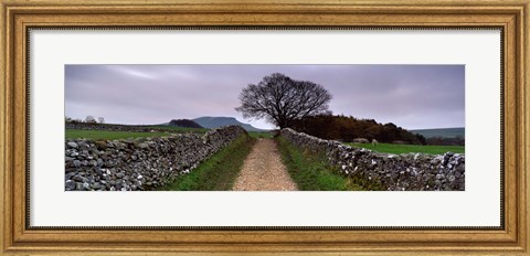 Framed Stone Walls Along A Path, Yorkshire Dales, England, United Kingdom Print