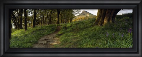 Framed Path Running Through A Forest, Newton Wood, Yorkshire, England, United Kingdom Print