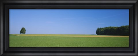 Framed Tree in a field, Germany Print