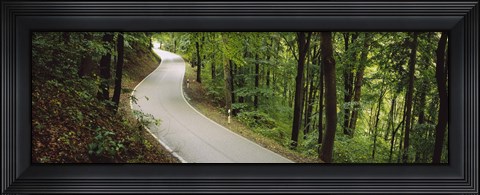 Framed Empty road running through a forest, Stuttgart, Baden-Wurttemberg, Germany Print