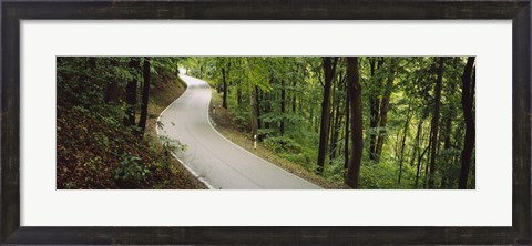 Framed Empty road running through a forest, Stuttgart, Baden-Wurttemberg, Germany Print