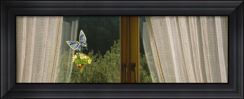 Framed Close-Up Of Flowers And A Butterfly Painted On A Window, Germany Print