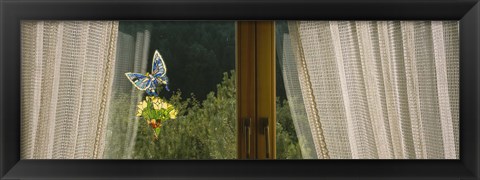 Framed Close-Up Of Flowers And A Butterfly Painted On A Window, Germany Print