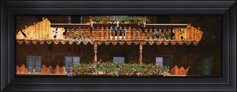 Framed Close-up of potted plants on balcony railings, Tirol, Austria Print