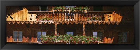 Framed Close-up of potted plants on balcony railings, Tirol, Austria Print