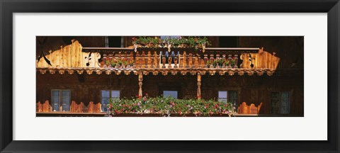 Framed Close-up of potted plants on balcony railings, Tirol, Austria Print