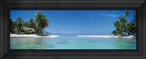 Framed Palm trees on the beach, Tikehau, French Polynesia Print