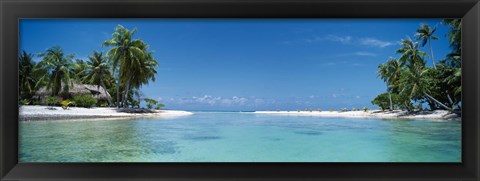 Framed Palm trees on the beach, Tikehau, French Polynesia Print