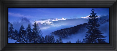 Framed Trees on a polar landscape, Simplon Pass, Switzerland Print