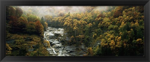 Framed High angle view of trees in a forest, Simplon Pass, Switzerland Print