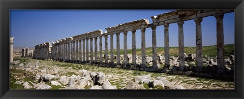 Framed Row of Columns, Cardo Maximus, Apamea, Syria Print