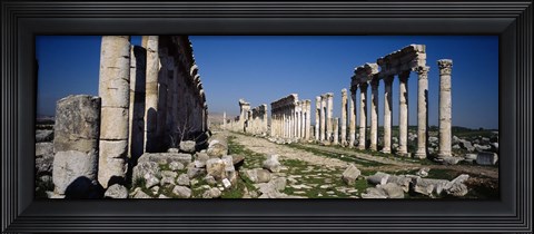 Framed Old ruins on a landscape, Cardo Maximus, Apamea, Syria Print