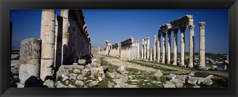 Framed Old ruins on a landscape, Cardo Maximus, Apamea, Syria Print