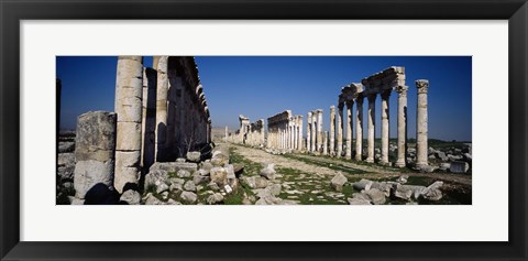 Framed Old ruins on a landscape, Cardo Maximus, Apamea, Syria Print