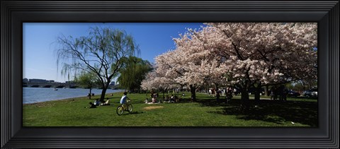 Framed Group of people in a garden, Cherry Blossom, Washington DC, USA Print