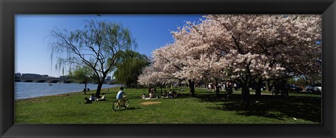 Framed Group of people in a garden, Cherry Blossom, Washington DC, USA Print