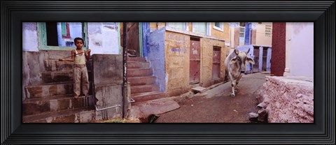 Framed Boy and a bull in front of building, Jodhpur, Rajasthan, India Print