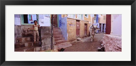 Framed Boy and a bull in front of building, Jodhpur, Rajasthan, India Print