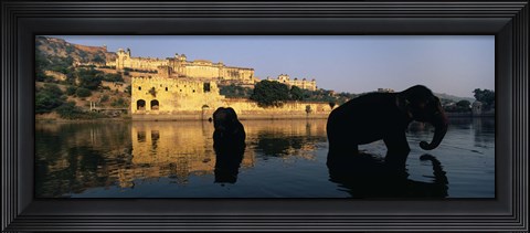 Framed Silhouette of two elephants in a river, Amber Fort, Jaipur, Rajasthan, India Print