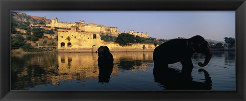 Framed Silhouette of two elephants in a river, Amber Fort, Jaipur, Rajasthan, India Print