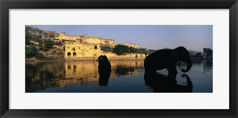 Framed Silhouette of two elephants in a river, Amber Fort, Jaipur, Rajasthan, India Print